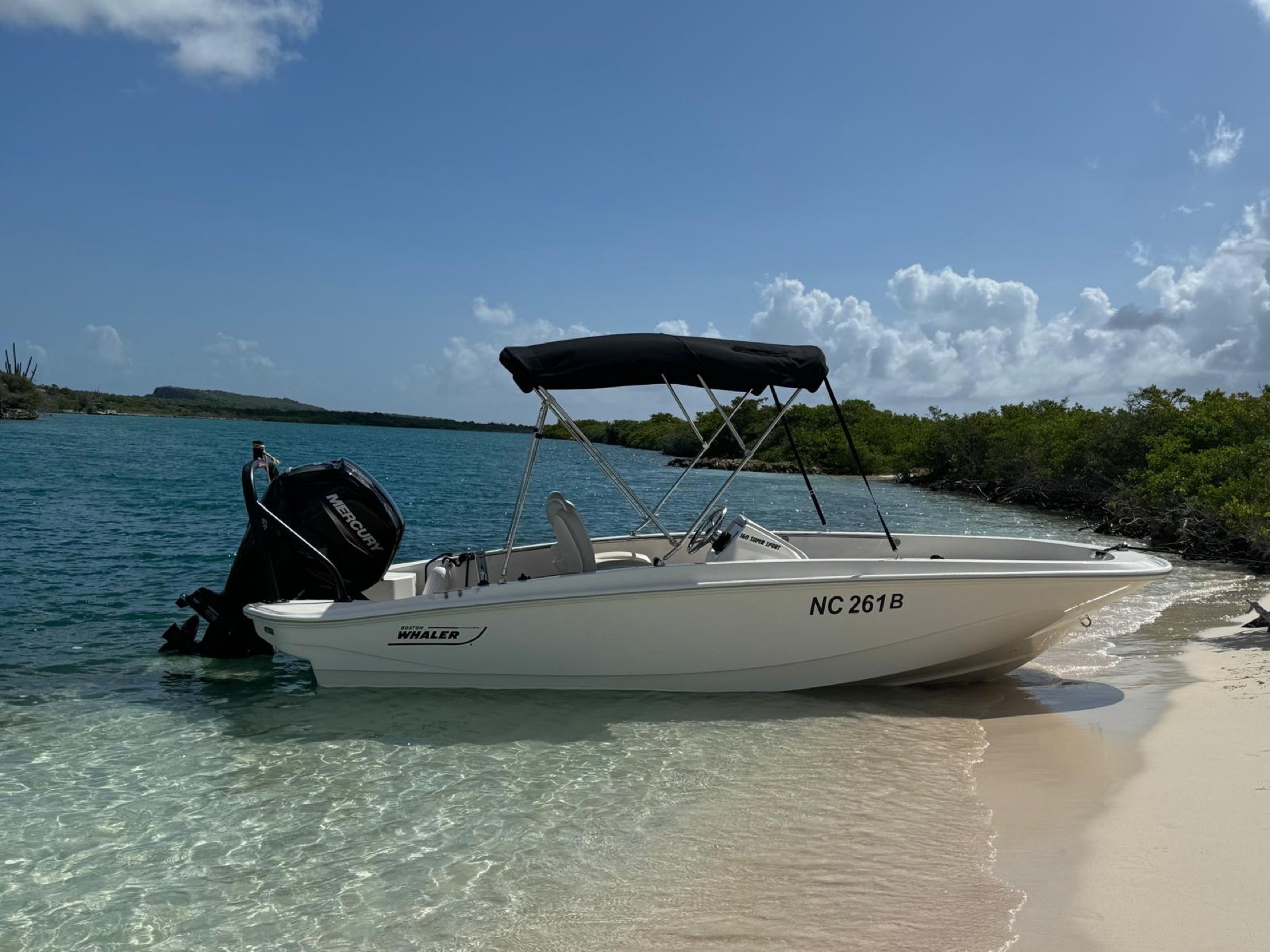 Boston Whaler Super Sport 160